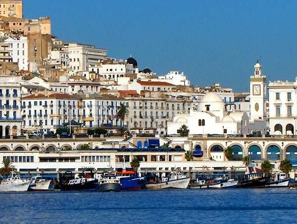 WhatsApp Image 2025-11-05 at 15.40.31