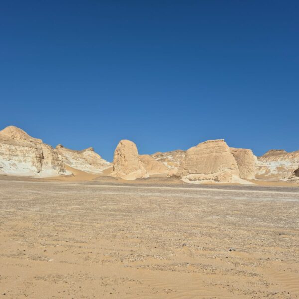 A la découverte du Caire et du Désert Blanc de Fayoum