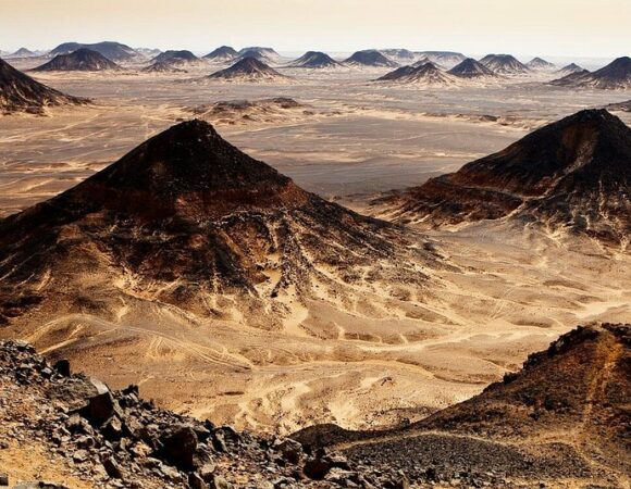 Egypte entre Oasis et  Désert blanc