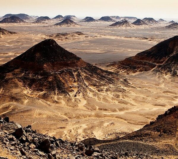 Egypte entre Oasis et  Désert blanc