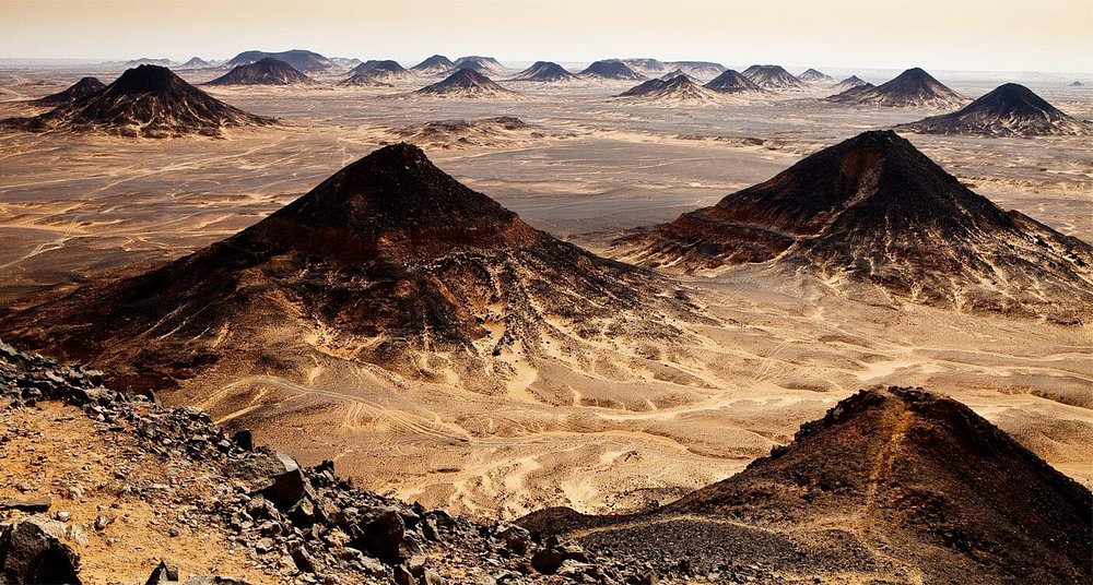 Egypte entre Oasis et  Désert blanc
